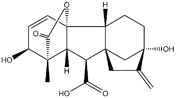 赤霉素GIBBERELLIC ACID，居然有這么神奇？